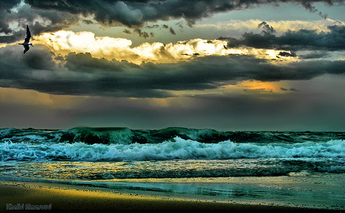 1338836782_7bdc6bf942