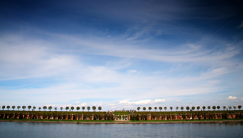 3556834097_cec94e224b