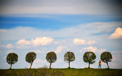 3557643572_040e7dd929