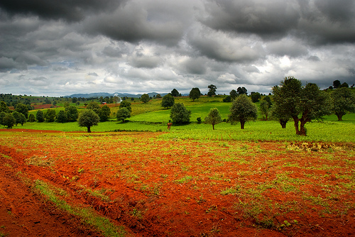 3826402225_8b0edcda15