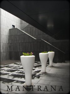 10523_149991443763_590663763_3463545_7189138_n