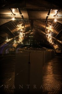 10523_151341778763_590663763_3482084_830798_n