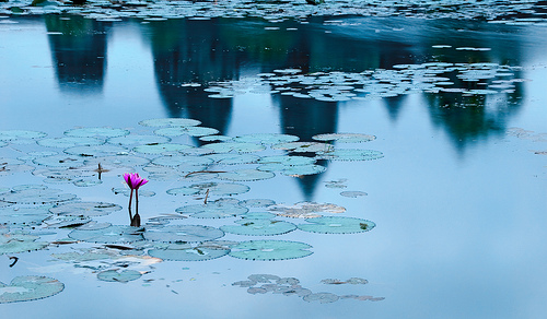 3989205674_e13a77ee07