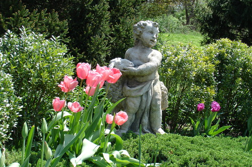 DSC02381.JPG DSC02381.JPG