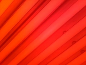 26603_382419107357_707642357_3997523_3544793_n