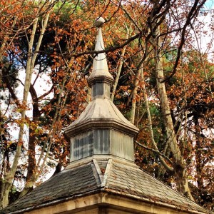 750e67e83b0811e2a0d522000a1f970a_7