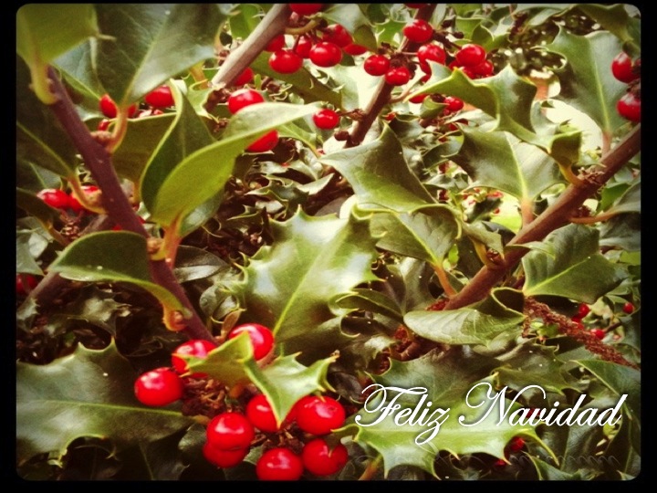 Feliz Navidad