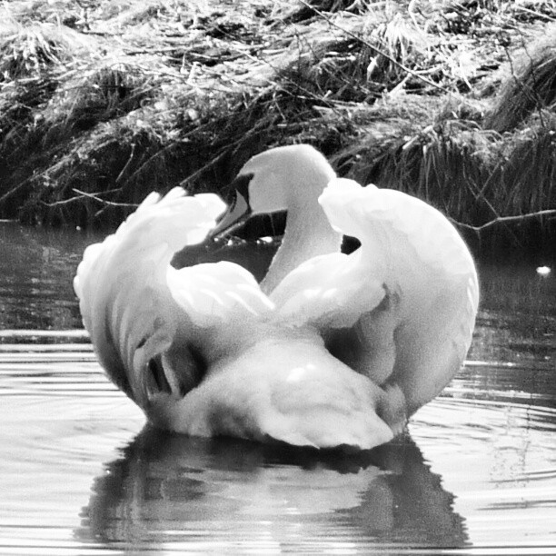 9cfeeab6760e11e28a6522000a9f17d4_7