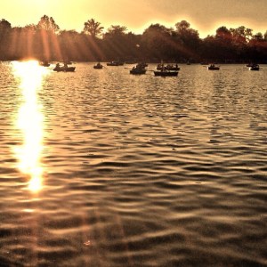 5e8bf0e2caed11e2b5c422000a1f9a53_7