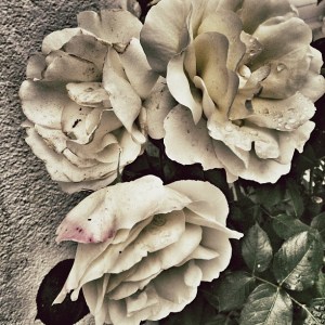 bc676eaad1d011e281d822000a1f9682_7