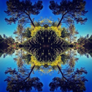 842e6e36bcb111e3a245124b25c24b3c_8