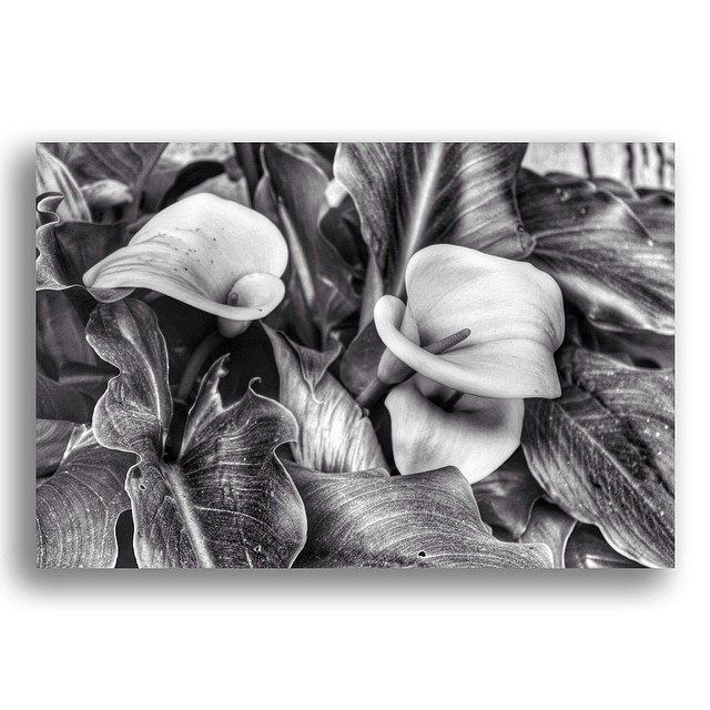 7d210e7acfd311e3a9c50002c9550b20_8