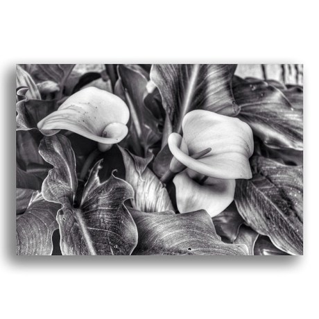 7d210e7acfd311e3a9c50002c9550b20_8