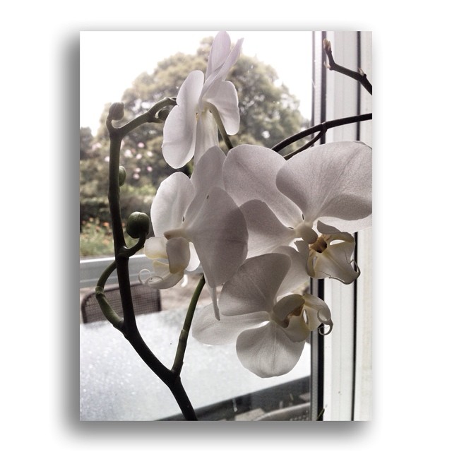 10520149_1502832626617032_2051331697_n