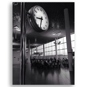 10727693_365167573637727_733123754_n