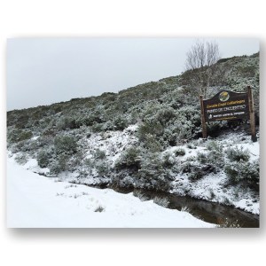 10518983_10205279985496104_7204311410038335100_n