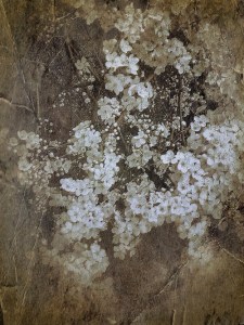 tumblr_n4esiz06Hs1qcyxeuo1_500