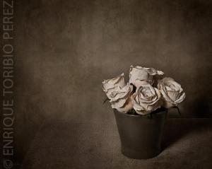 485259_388629887834858_463158060_n