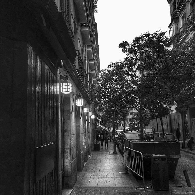 12237585_929810887103556_935312239_n