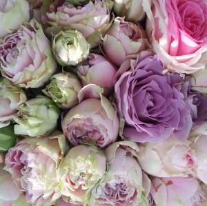 10575373_10205007453336435_8250422225810854625_o