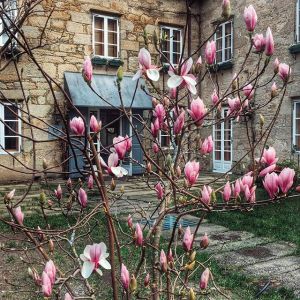 12747776_474965642695935_660796447_n